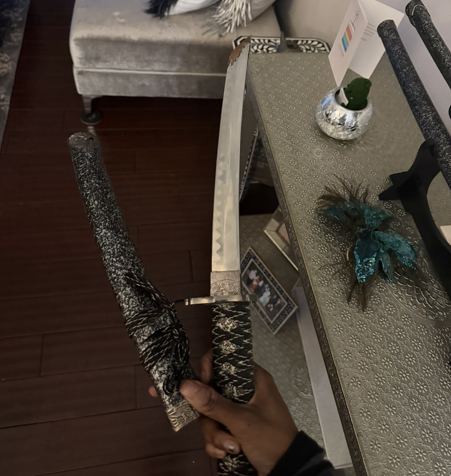 The katana Aryan showed me at her house.