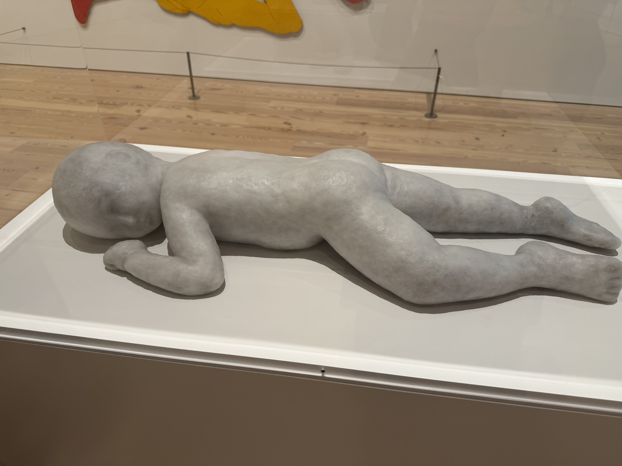 Untitled (Object I–V) by Andrea Fraser, on display at the Whitney Museum